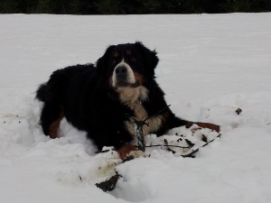 20111223_150437.jpg